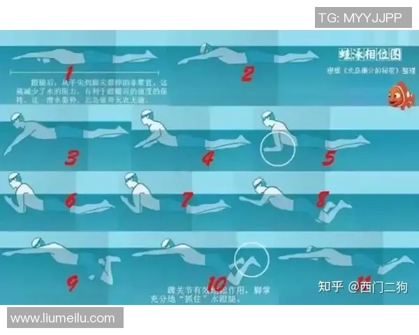 蛙泳技巧全面提升训练法及注意事项详解