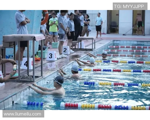 激烈角逐泳池边，青春与力量的碰撞2025全国游泳锦标赛精彩回顾