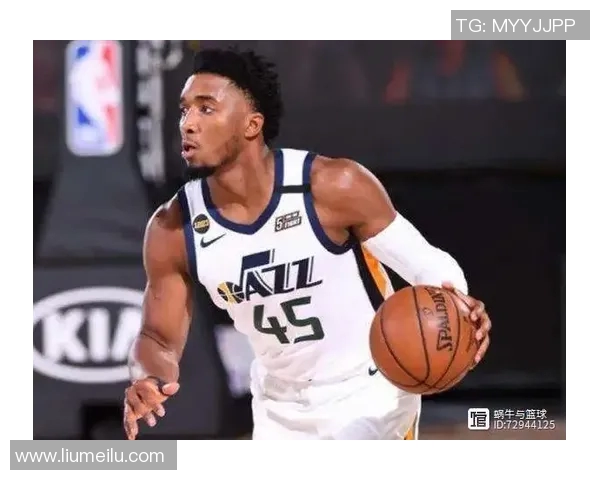 阿里纳斯条款对NBA薪资结构的影响及其在球员合同中的应用分析