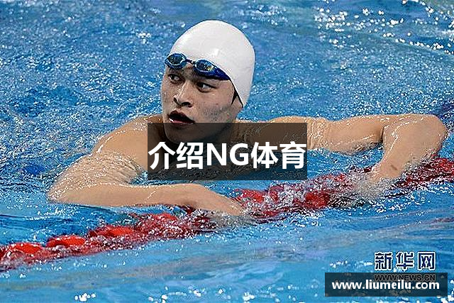 介绍NG体育